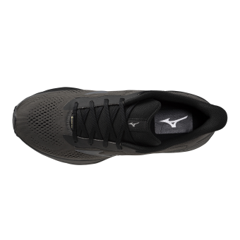 Mizuno Wave Serene 2 GTX Herren