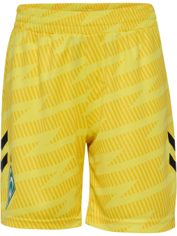 Torwarthose Gelb 2025/26